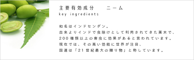 虫どろぼう for 穀物屋さん｜穀物屋さんの防虫用品専門店 虫どろぼう